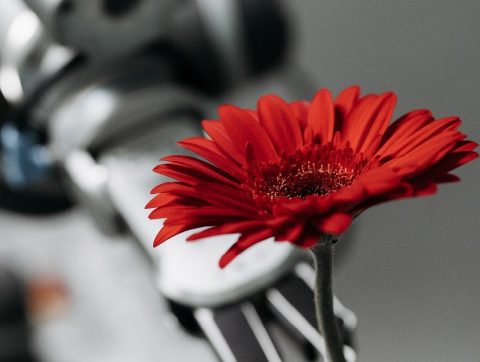 Santé : l&rsquo;intelligence artificielle a-t-elle du nez ?