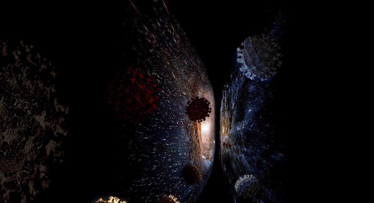 132 000 virus à ARN découverts grâce à une base de données planétaire !