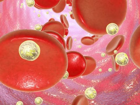 Vaccins ARN messager : les nanoparticules font partie intégrante de notre quotidien et il ne faut pas en avoir peur