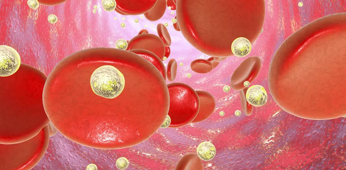 Vaccins ARN messager : les nanoparticules font partie intégrante de notre quotidien et il ne faut pas en avoir peur