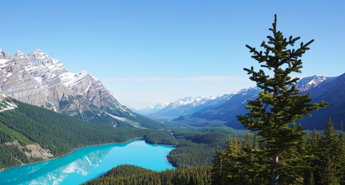 Pour l&rsquo;IA, la destination touristique la plus attractive serait canadienne !