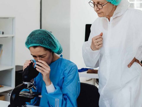 L&rsquo;Université de Montréal lance un nouveau parcours qualifiant en science des données