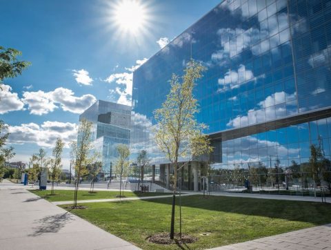 Le congrès mondial TimeWorld sur l’IA à Montréal en mai prochain