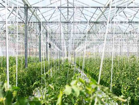 Réduire les gaz à effet de serre grâce à l&rsquo;intelligence artificielle