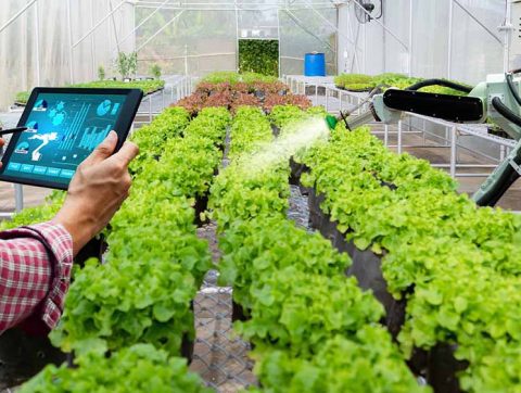 Le « Smart Farming », la nouvelle tendance en gestion agricole