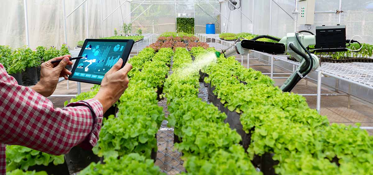 Le « Smart Farming », la nouvelle tendance en gestion agricole