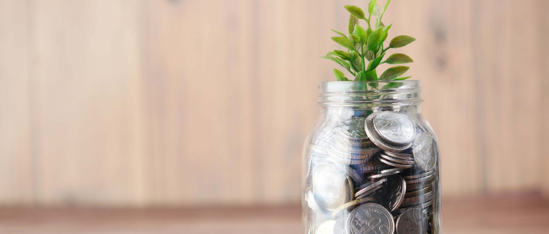 Trois jours pour parler de Bioéconomie au Québec