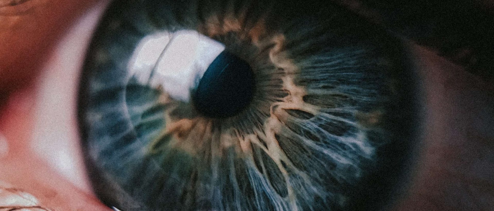 Une nouvelle application de détection de la dégénérescence maculaire liée à l’âge dans des cliniques d&rsquo;optométrie au Québec