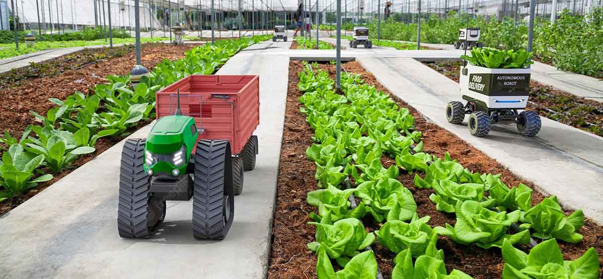 Le Fédéral investit dans les nouvelles technologies pour améliorer le rendement agricole