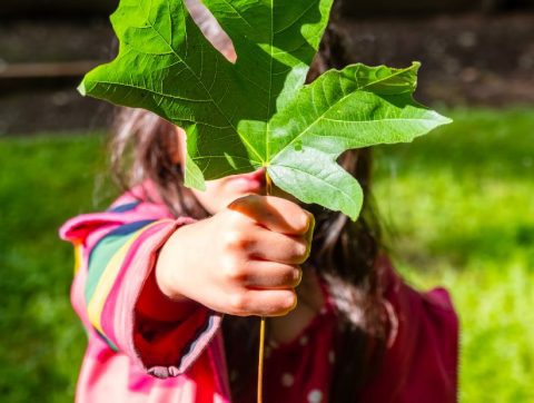 L&rsquo;avenir de nos enfants et la crise climatique : s&rsquo;en remettre à la science ne suffit pas