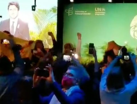 COP15 : un appel à l&rsquo;action internationale, des promesses, et un rappel des enjeux autochtones