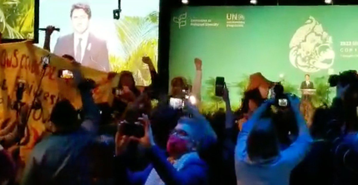 COP15 : un appel à l&rsquo;action internationale, des promesses, et un rappel des enjeux autochtones