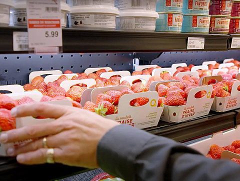 [Agtech] L&rsquo;entreprise Ferme d&rsquo;hiver reçoit 46 M$ pour quadrupler sa production