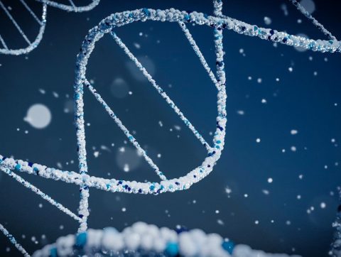 [NOUVEAUTÉ] ADN : un balado sur les projets en génomique qui changent le monde