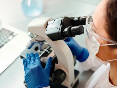 Des capsules vidéo alliant savoirs autochtones et science moderne