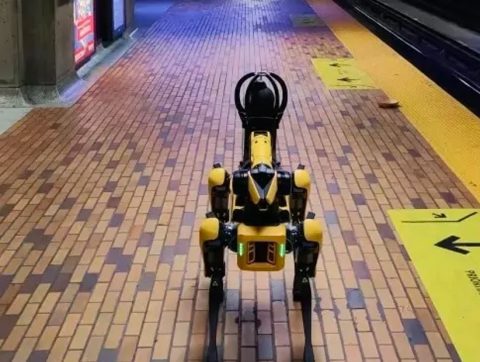 [ANALYSE] Quand les chiens-robots déambulent dans nos villes