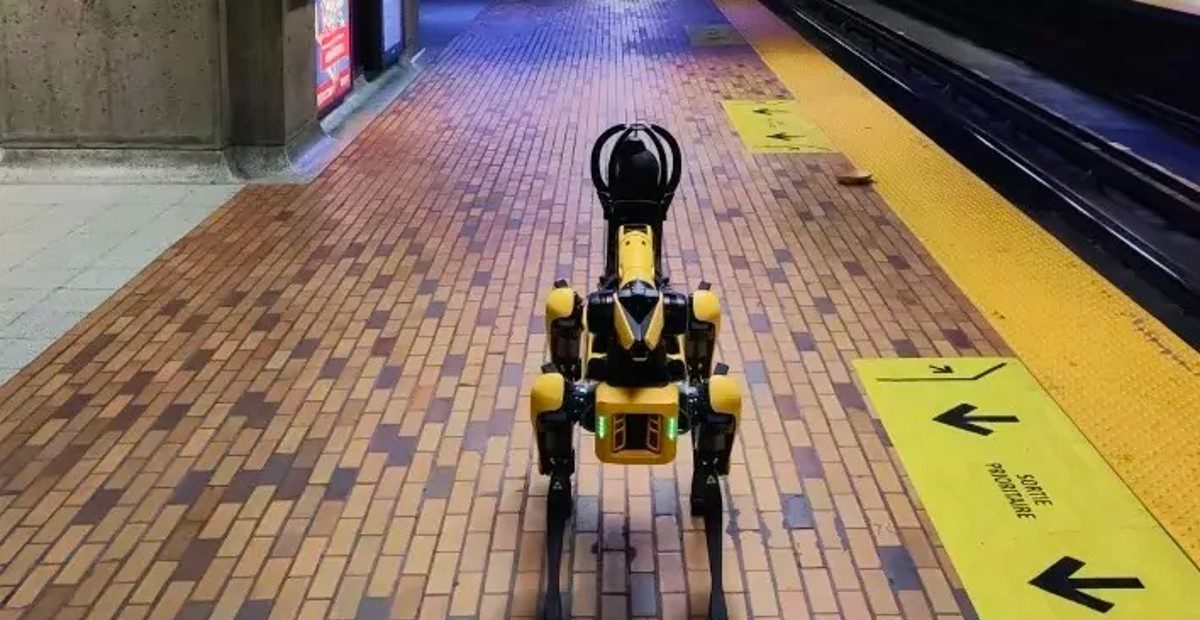 [ANALYSE] Quand les chiens-robots déambulent dans nos villes