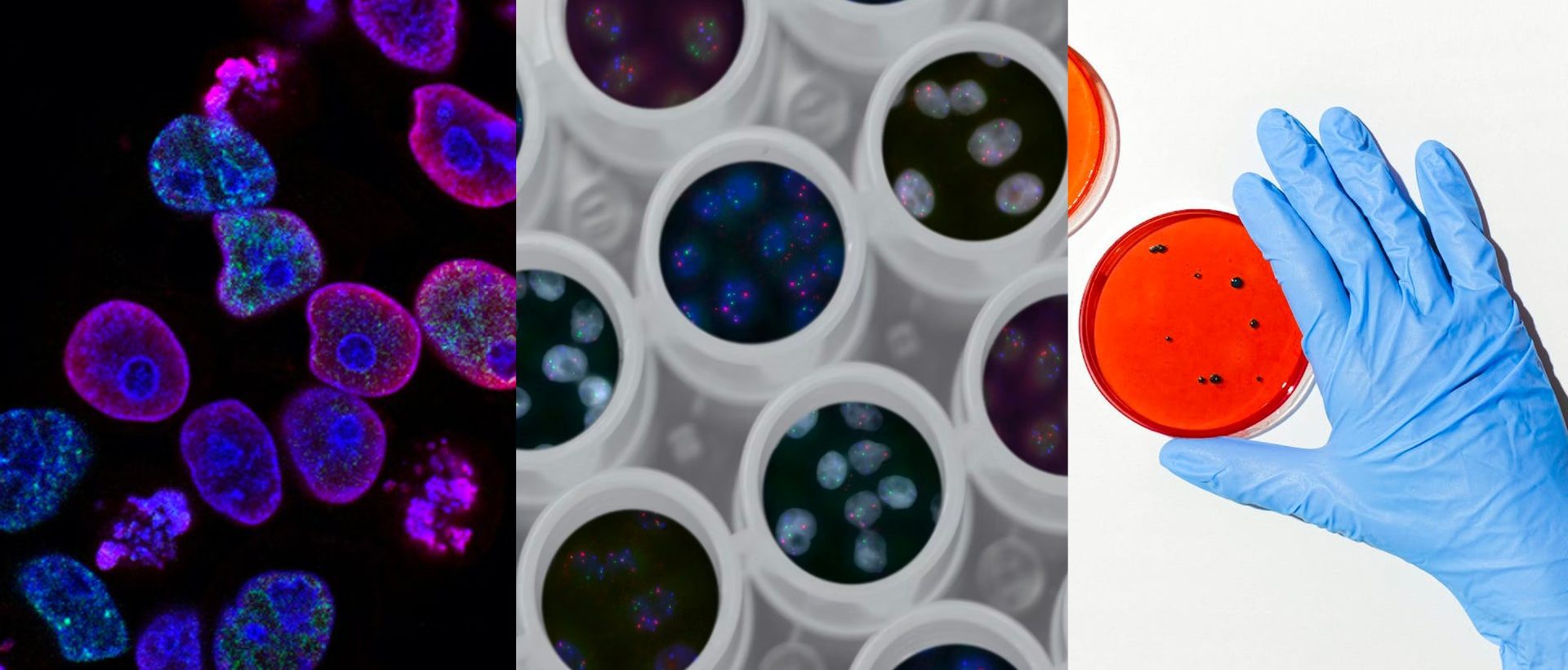 [ÉVÉNEMENT] EFFERVESCENCE : « Le futur des sciences de la vie »