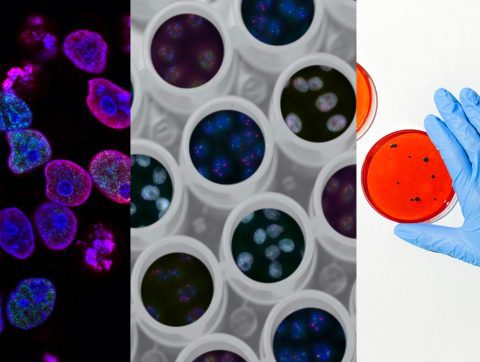 [ÉVÉNEMENT] EFFERVESCENCE : « Le futur des sciences de la vie »