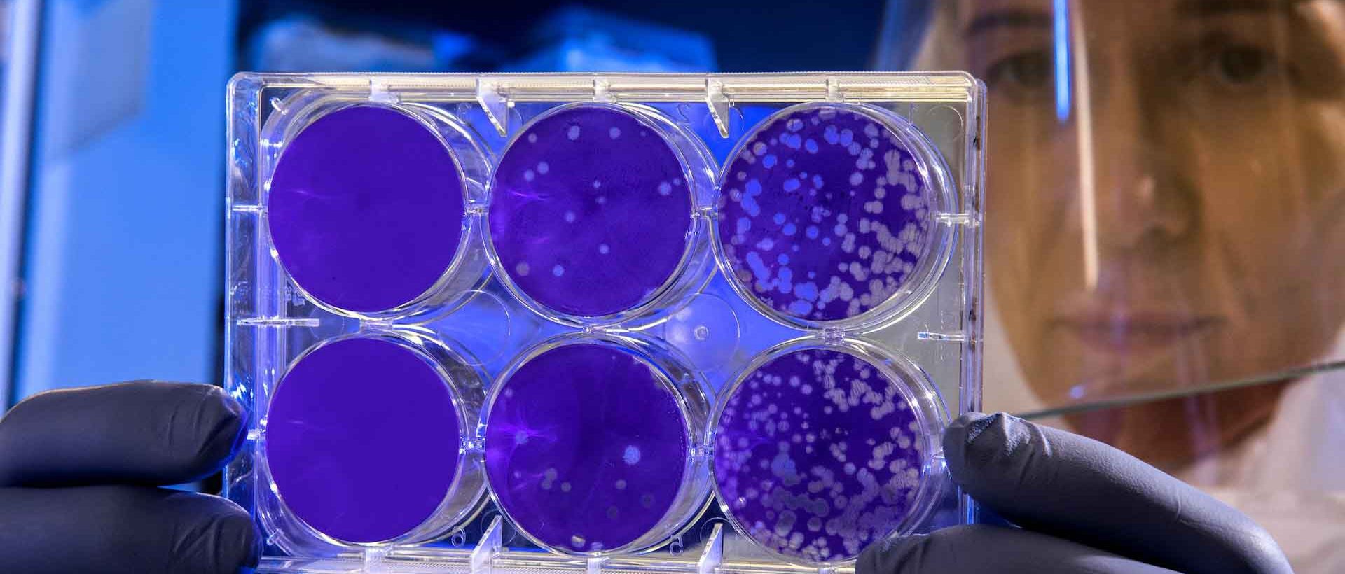 [ÉDITORIAL] : L&rsquo;une des plus grandes menaces planétaires n&rsquo;est pas celle que vous croyez