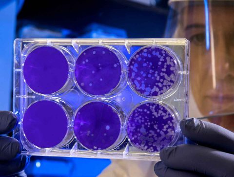 [ÉDITORIAL] : L&rsquo;une des plus grandes menaces planétaires n&rsquo;est pas celle que vous croyez