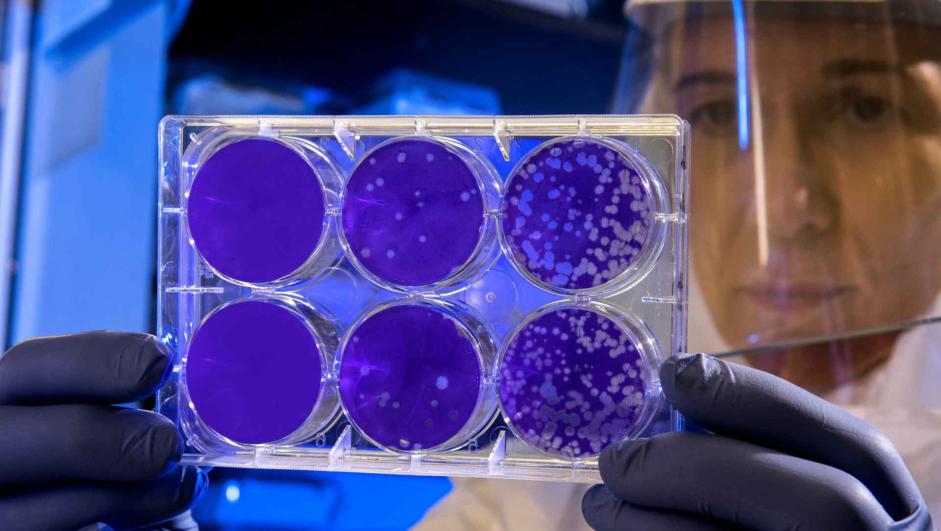 [ÉDITORIAL] : L&rsquo;une des plus grandes menaces planétaires n&rsquo;est pas celle que vous croyez