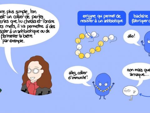 La bande dessinée pour vulgariser et démystifier le doctorat en science