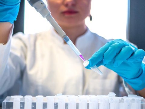 Le défi « One Health » : Une approche intégrée dans la lutte contre la résistance antimicrobienne