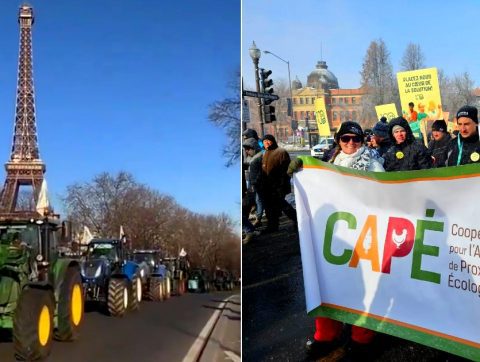 [ÉDITO] L&rsquo;agriculture en crise : des solutions « porteuses et pérennes » exigées