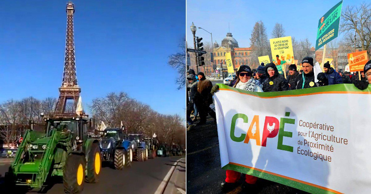 [ÉDITO] L&rsquo;agriculture en crise : des solutions « porteuses et pérennes » exigées