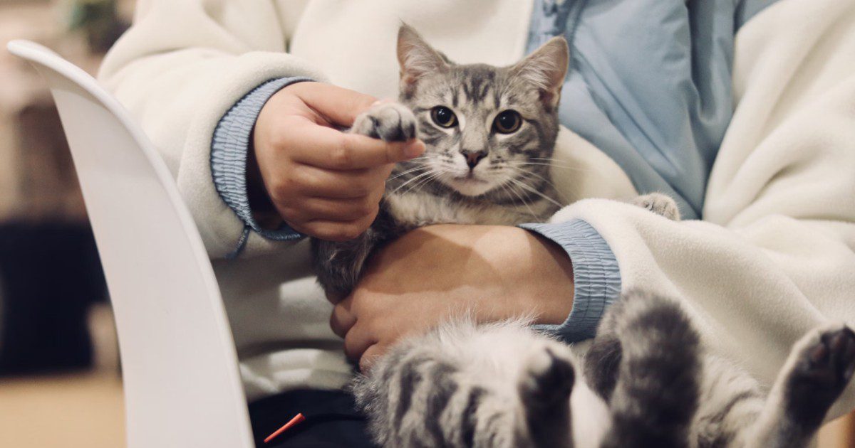 Un centre de médecine vétérinaire unique ouvre ses portes à Saint-Hyacinthe