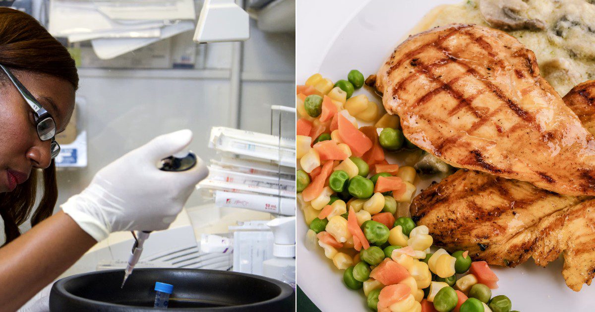 Agriculture cellulaire : propulser la recherche et l&rsquo;innovation au Québec