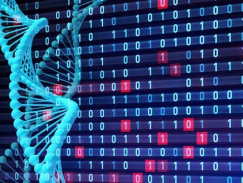 [ÉDITORIAL] Médecine de précision : La France et le Québec ont besoin des données massives