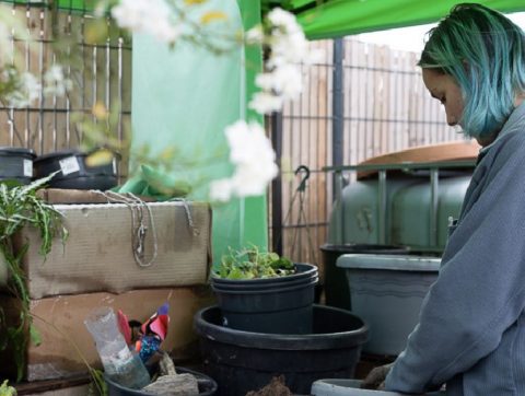 [Fresh Touch] Niveau facile : Faire un îlot de fraîcheur chez soi