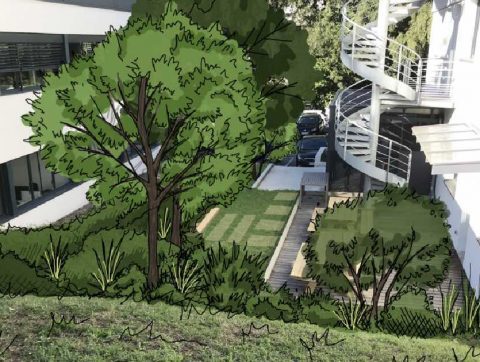 Aquapuncture : Une start-up lyonnaise lance une méthode innovante pour rafraîchir nos villes