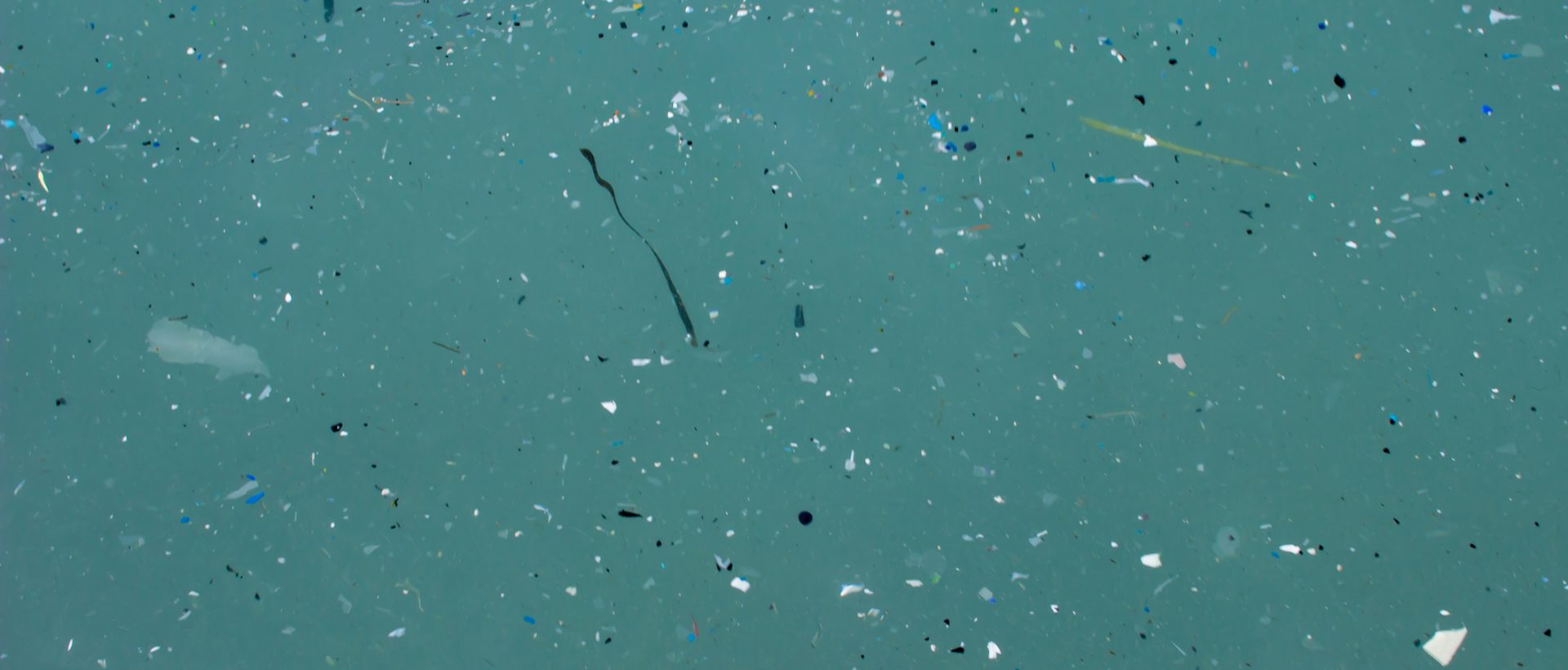 Des solutions novatrices pour le traitement des eaux contaminées