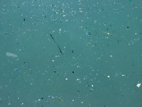 Des solutions novatrices pour le traitement des eaux contaminées