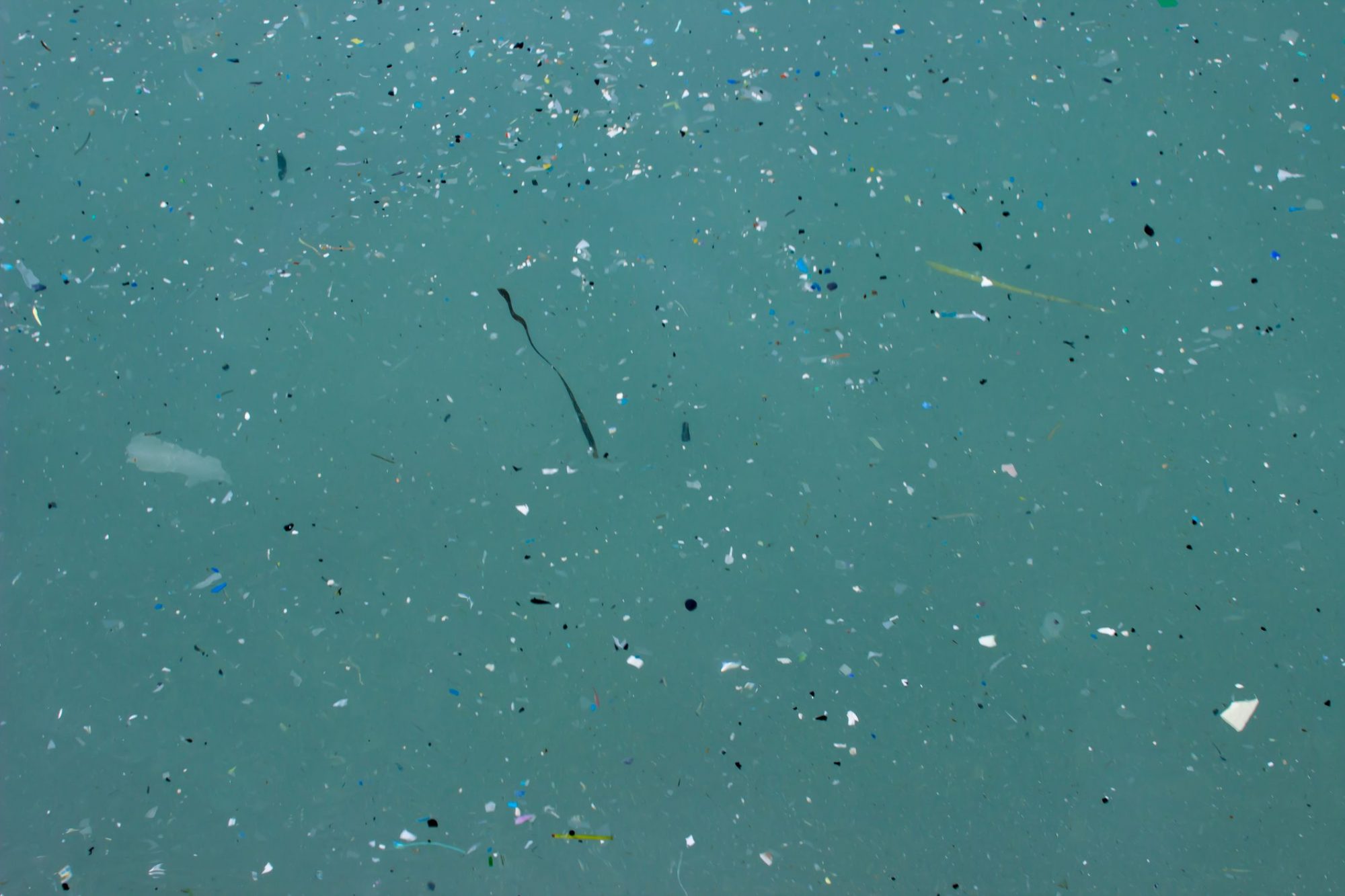 Des solutions novatrices pour le traitement des eaux contaminées