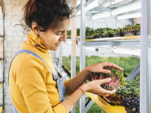 [L&rsquo;entrevue culi-tech lyonnaise] Un container de culture