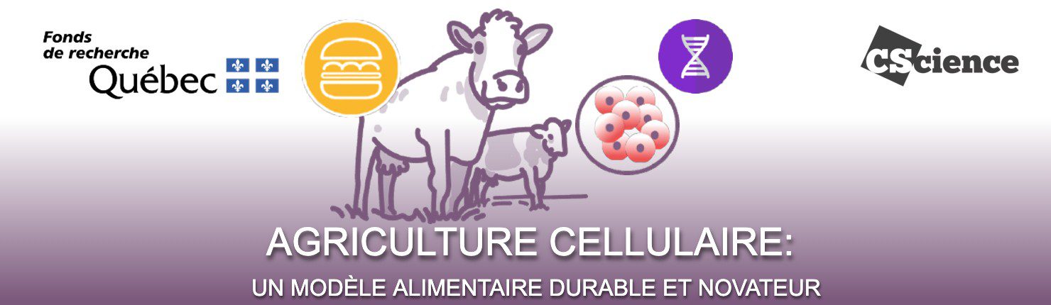 banniere frq cscience alimentation cellulaire