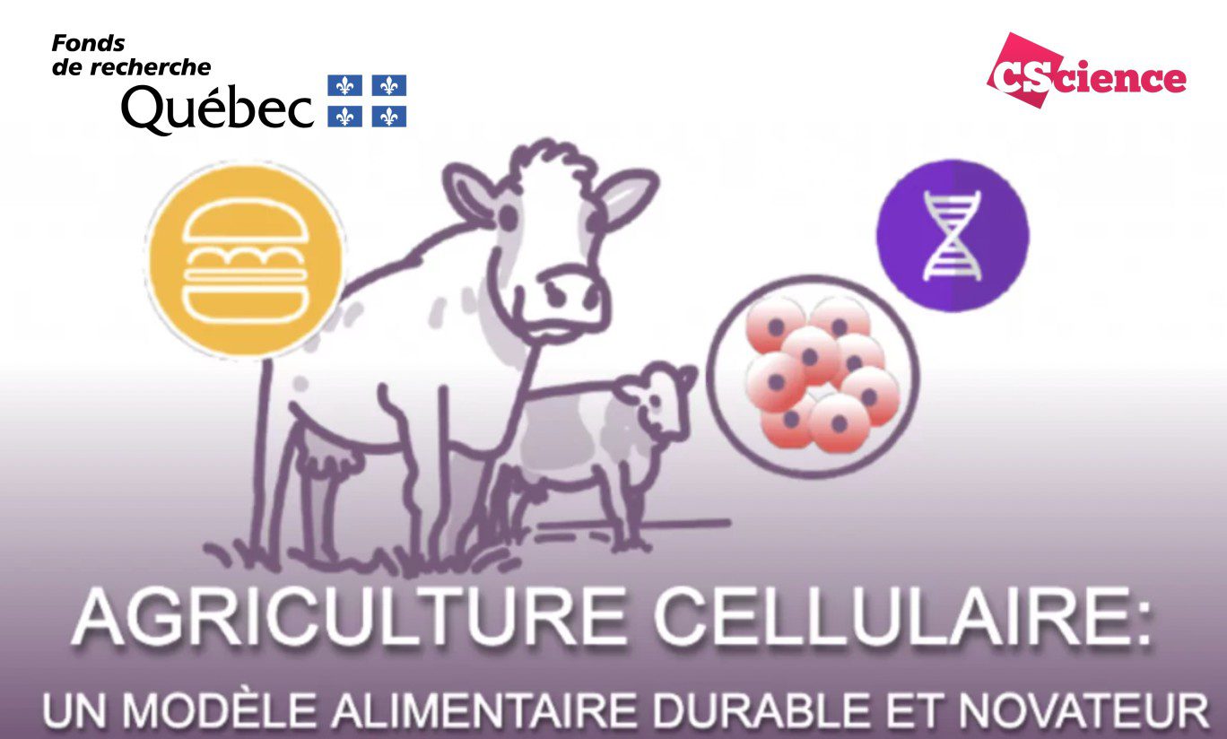 dossier agriculture cellulaire