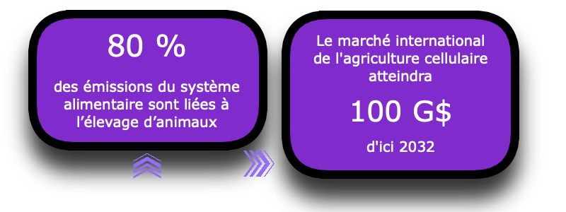 graphiques alimentation cellulaire