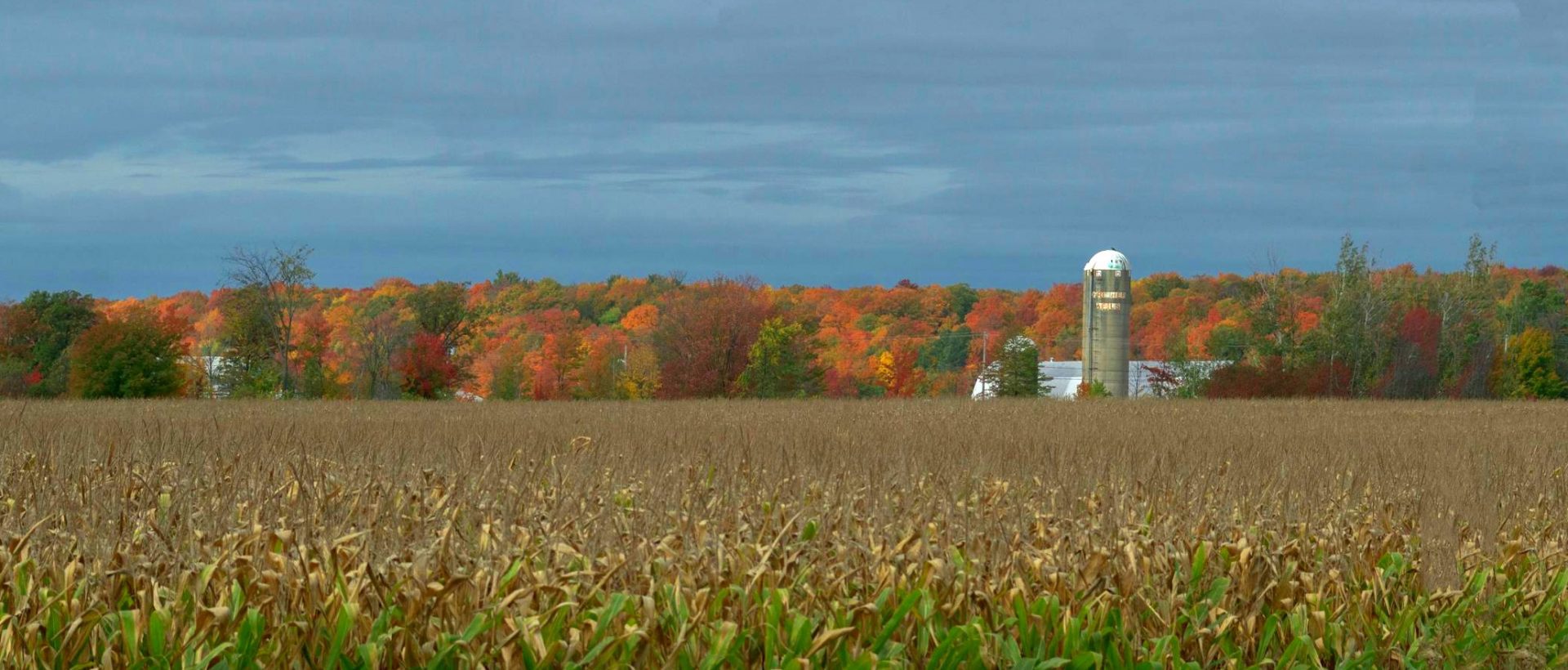 L’agroalimentaire québécois à l’heure de la transition écologique