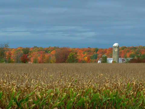 L’agroalimentaire québécois à l’heure de la transition écologique