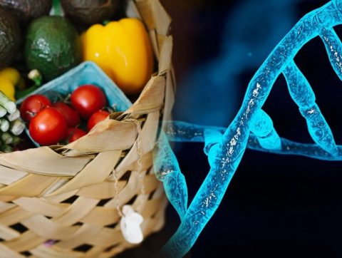 Tout ce que vous devez savoir sur la nutrition personnalisée