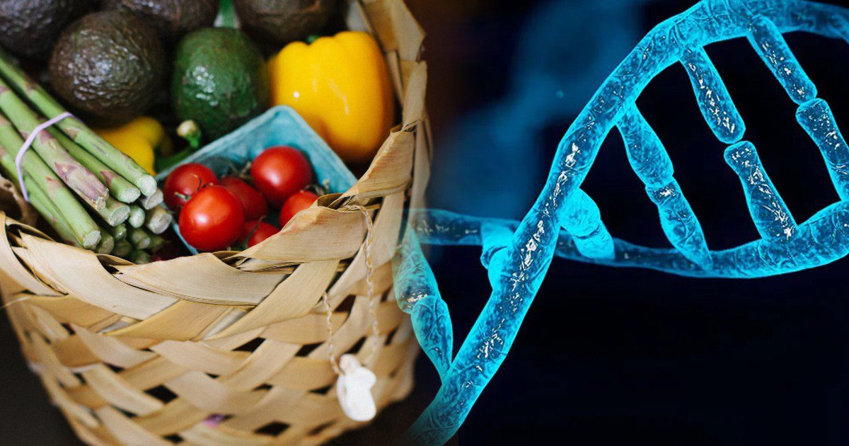 Tout ce que vous devez savoir sur la nutrition personnalisée