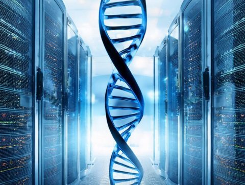 L&rsquo;ADN de synthèse : La promesse d&rsquo;un stockage durable des données