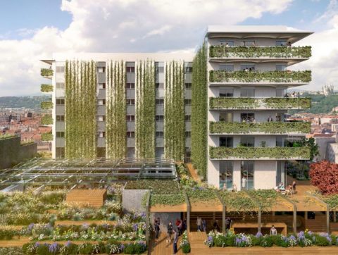 Immobilier : La mixité sociale au cœur des préoccupations à Lyon