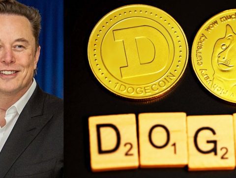 Le DOGE : vers une révolution sous l&rsquo;égide d&rsquo;Elon Musk?