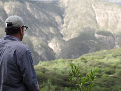 Le café, une transition possible pour une filière durable